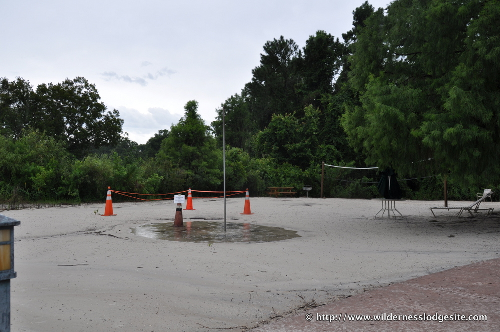 Turtle Nest at the Beach Volleyball Court